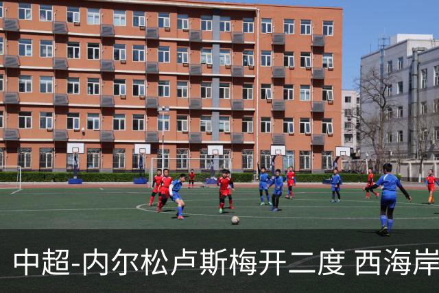 中超-内尔松卢斯梅开二度 西海岸3-1浙江12轮不败